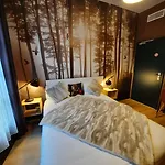 Hotel Du Cygne 3*