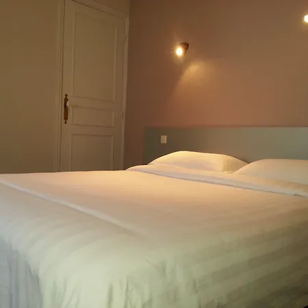 Hotel Hotel Du Cygne Tours