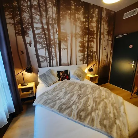 Hotel Hotel Du Cygne Tours 3*