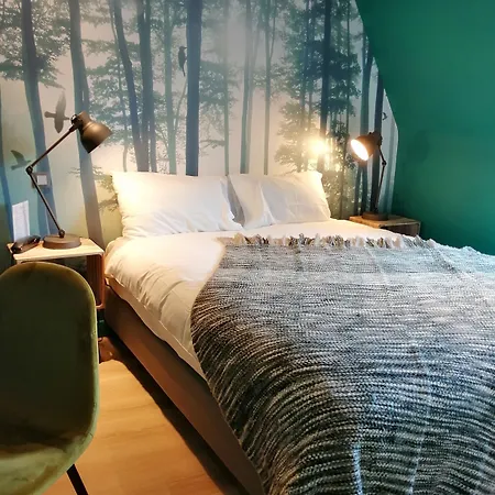 Hotel Hotel Du Cygne Tours 3*