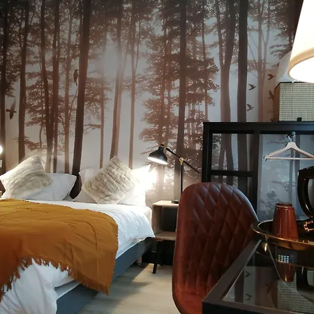 Szálloda Du Cygne 3*