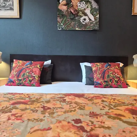 Hotel Du Cygne Tours Hotel 3*