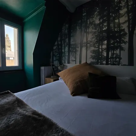 Hotel Du Cygne Tours Hotel 3*