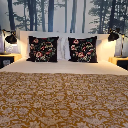 Hotel Du Cygne Tours Tours