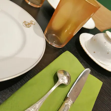 图尔天鹅酒店