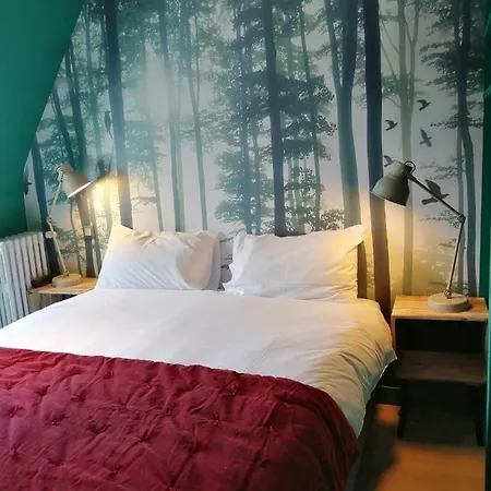 Hotel Du Cygne Tours