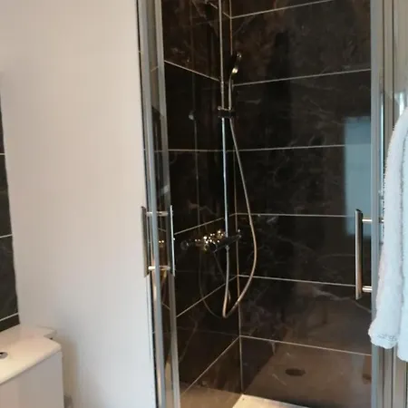 Hotel Hotel Du Cygne Tours 3*