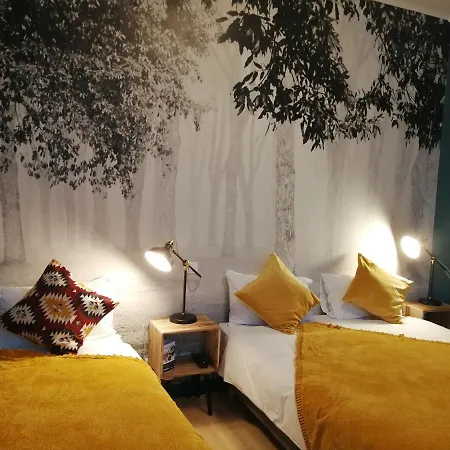 Hotel Hotel Du Cygne Tours