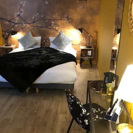 Hotel Du Cygne Tours Hotel