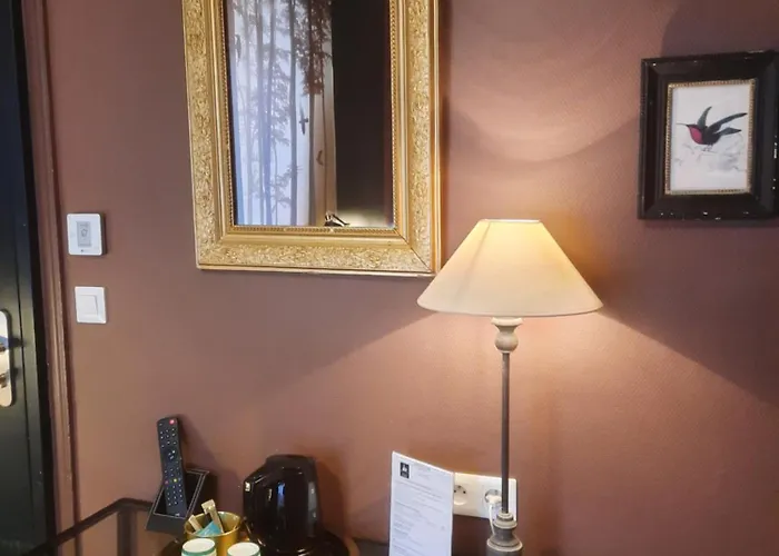 Hotel Du Cygne Tours