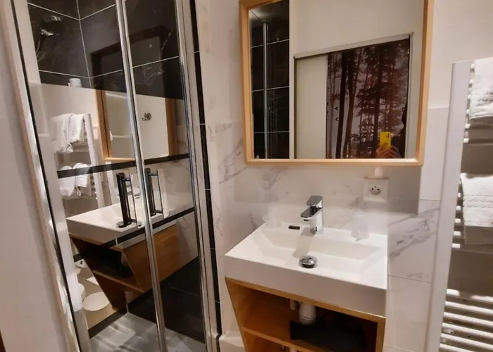 Hotel Hotel Du Cygne Tours Tours