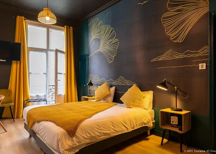 Hotel Du Cygne Tours 3* Tours