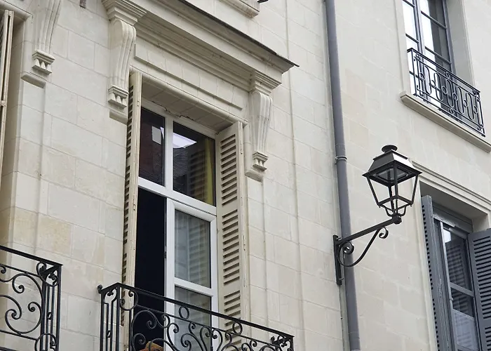 Hotel Hotel Du Cygne Tours 3*