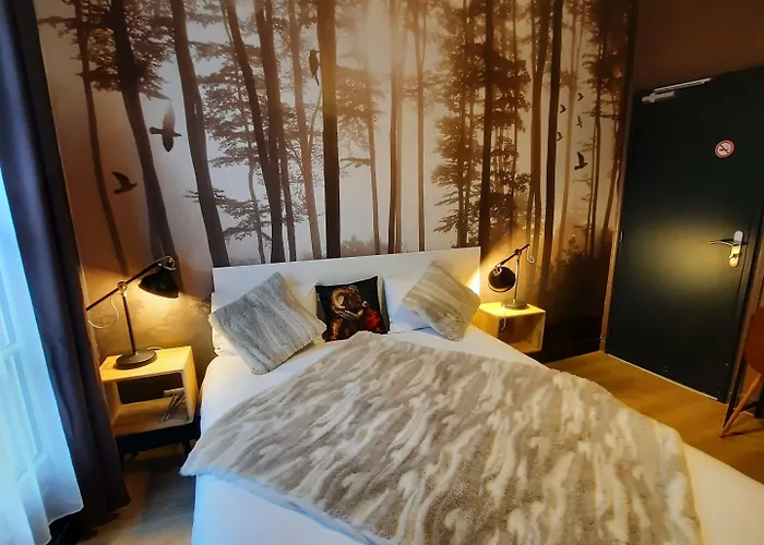 Hotel Hotel Du Cygne Tours 3*