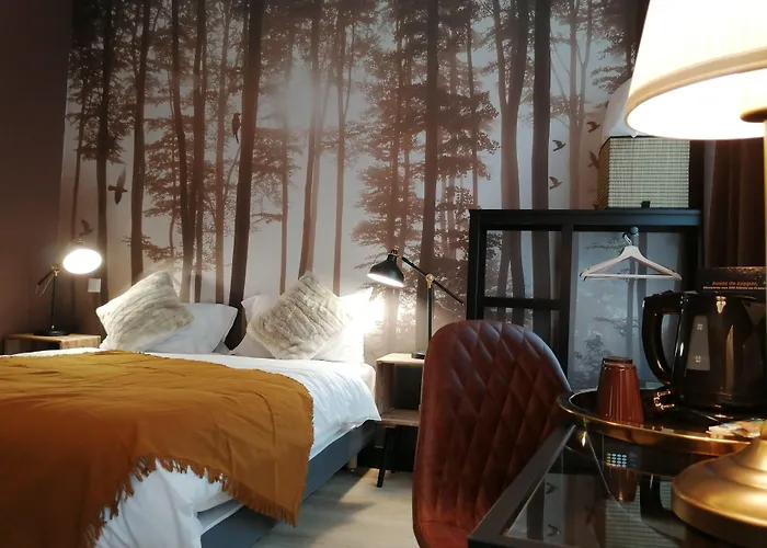 Hotel Hotel Du Cygne Tours 3*