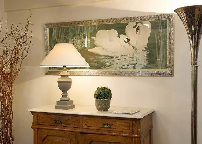 Hotel Du Cygne Tours Hotel