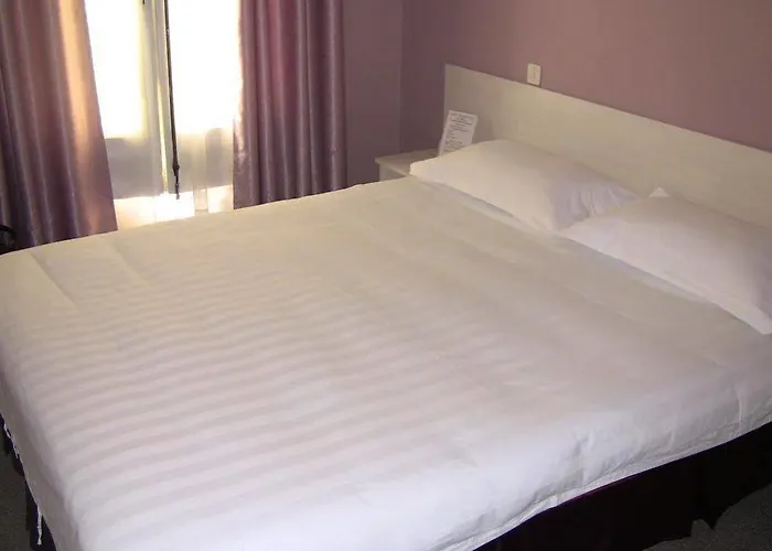 酒店 图尔天鹅酒店 图尔