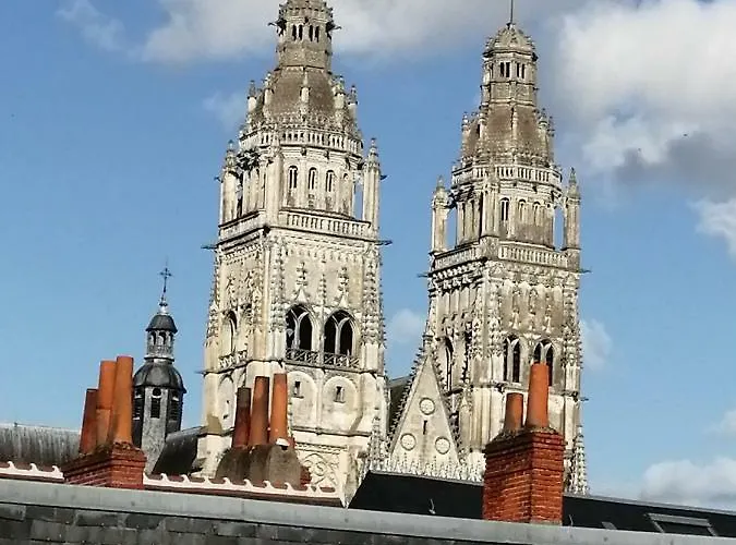 图尔天鹅酒店 3*