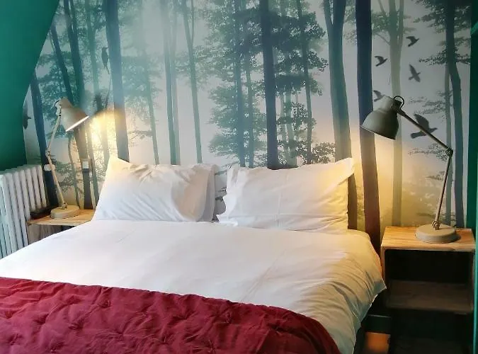 Hotel Du Cygne Tours