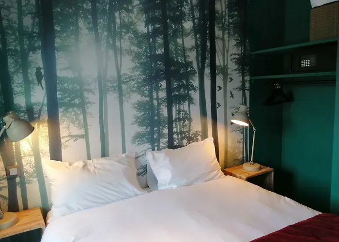 Hotel Du Cygne Tours Hotel