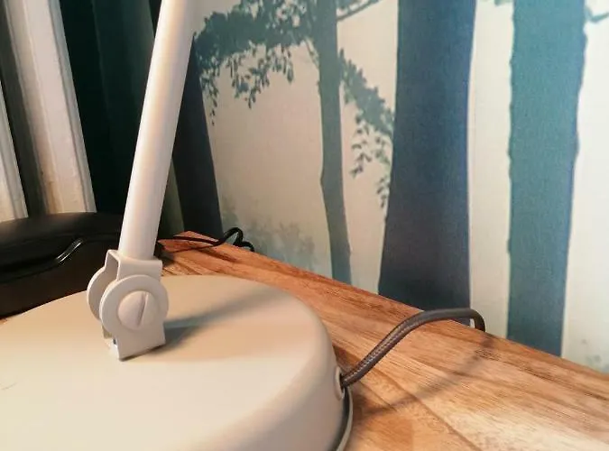 Du Cygne فندق 3*