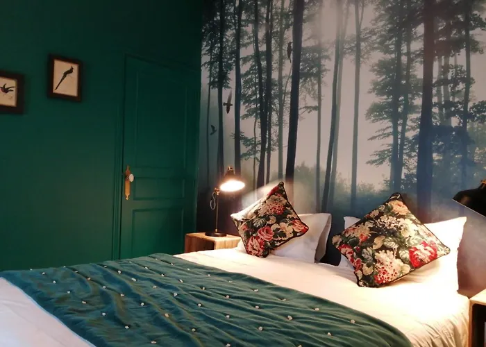 Hotel Du Cygne Tours Hotel