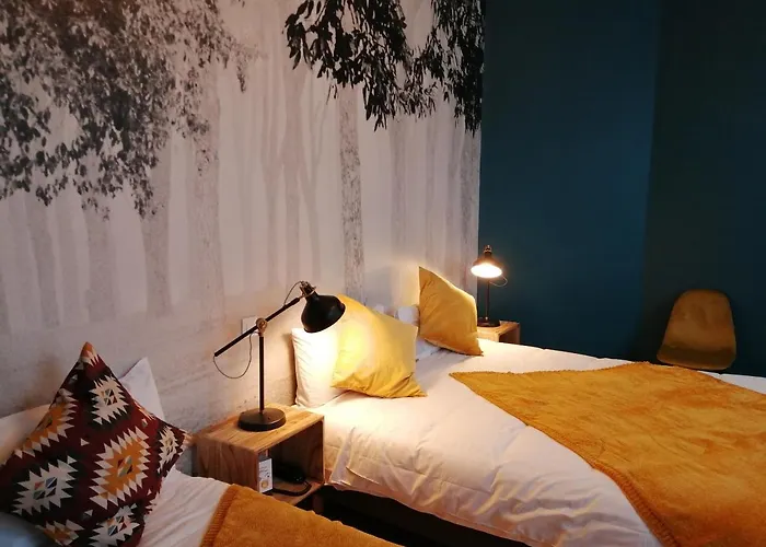 Hotel Du Cygne Tours Tours