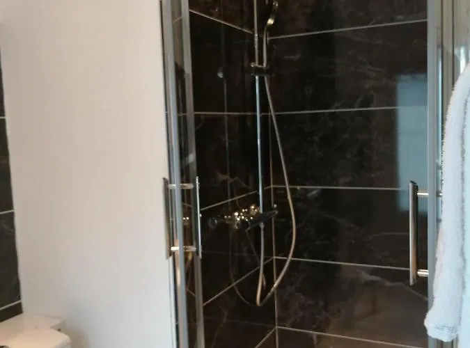 Hotel Hotel Du Cygne Tours 3*