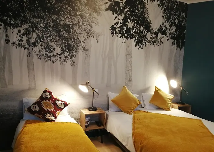 Hotel Hotel Du Cygne Tours